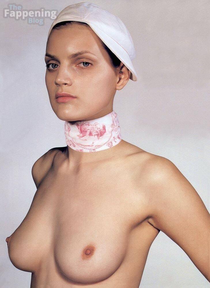 Guinevere van Seenus Nude Sexy 1