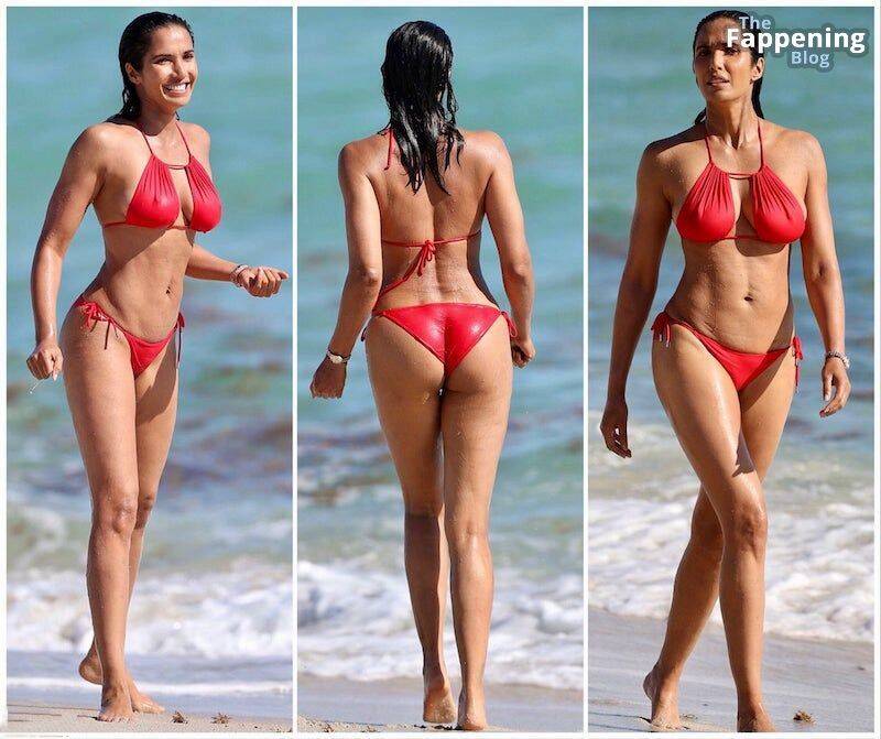 Padma Lakshmi Sexy 1