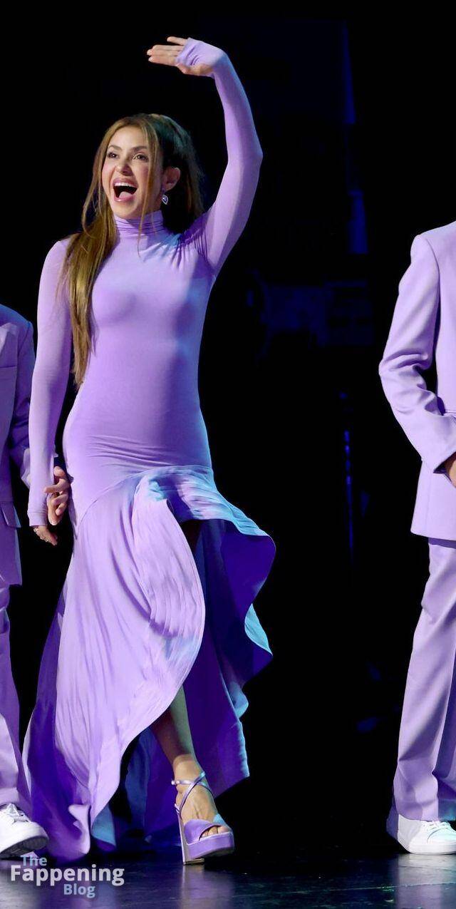 Shakira Dress 1
